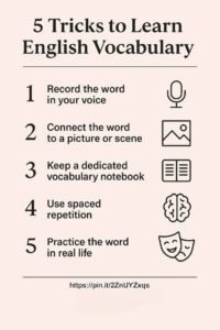 English vocabulary words with meanings and example sentences for beginners